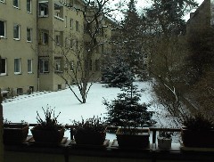 04.02 11:13 So: Sternschn und Roeschens Hinterhof!