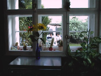 28.07 20:11 Phinis Blumen!