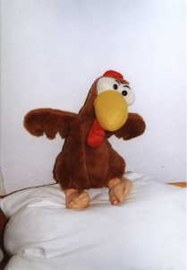 04.11  02a  Mein Moorhuhn!