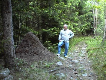 02.06 19:58 Ameisenhgel bei unserer Abendlichen Wanderung entdeckt!