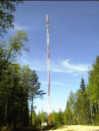 06.06 9:28 An jedem dicken Baum ;o)