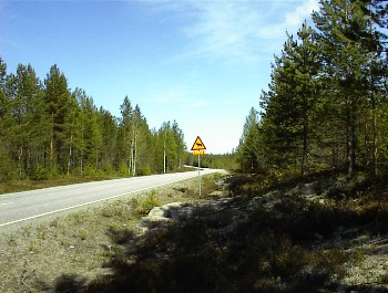 06.06 9:38 .....und Elche jede Menge, aber bis jetzt nur auf Schildern!
