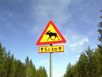 06.06 9:38 ...und lang sind die - bis zu 5km *fg*