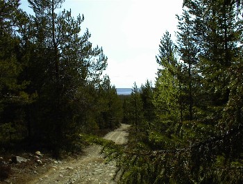 07.06 11:15 Leichter Anstieg mit wenig Aussicht!