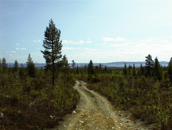 07.06 11:25 Kurz vor Beginn des Naturschutzgebietes!