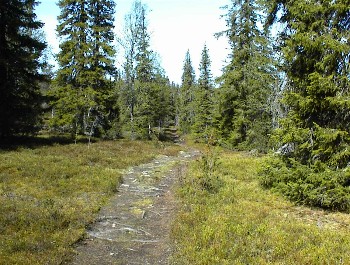 07.06 11:30 Der Weg im weiteren Verlauf!