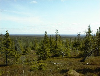 07.06 11:43 Oben auf dem Berg(465m)!