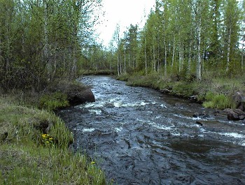 08.06 8:50 Zwischendurch an der Strae!