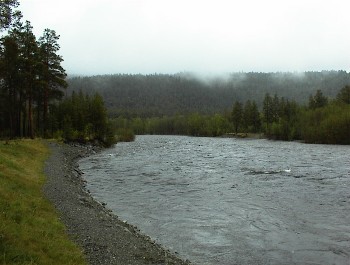 11.06 13:09 Ein Flu mit reichlich Wasser...