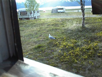 12.06 21:38 Diese hier guckt uns bld an *gg*