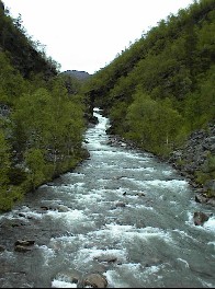 16.06 18:39 ...Blick nach rechts von der Brcke!