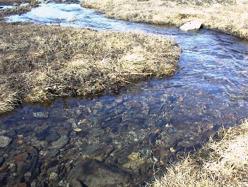17.06 16:23 Klares - eiskaltes Schmelzwasser!