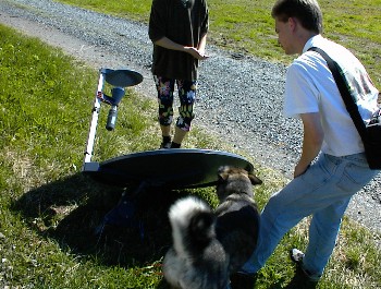 19.06 10:19 Fachmann - kann man keine 5 Minuten alleine lassen *gg*