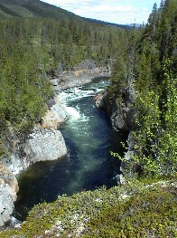 20.06 12:57 Einer von vielen Flen in Norwegen!