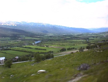 24.06 12:54 Hecken als Windfnge fr die Felder!