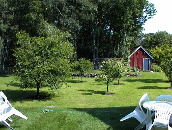 27.06 15:54 Blick von unserem Zimmer in den Garten!