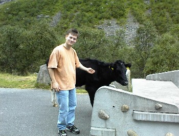 9:41 Hier auf dem Parkplatz laufen K�he frei rum :o)!