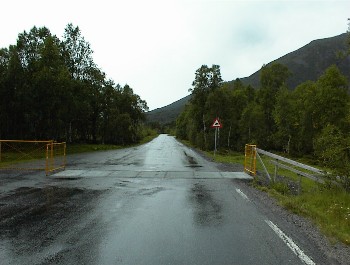 15:24 Schafsperren auf der Stra�e, aber keine Seltenheit!