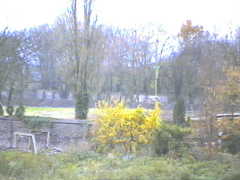 20:11 16:00 Mo: Die alte Pferdekoppel!