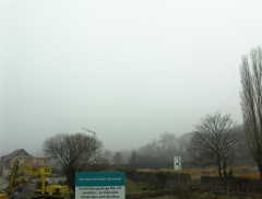 31.01 13:34 Mi: Nebelig bis dunstig mit Nieselregen!
