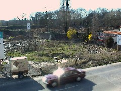 02.04 16:44 Mo: Heute abend wird die Pappel (mittig Bild) gefllt, mehr Bilder morgen!