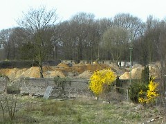 04.04 11:36 Mi: Ein bischen Sonne und die Natur spriet!