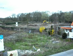 17.04 17:30 Di: Auch die Koppel ist besser zu erkennen!