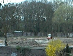 23.04 14:44 Mo: Mal wieder ein Zoomblick auf die Koppel!