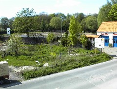 07.05 14:41 Mo: Viel Sonne: Der Mai ist gekommen die Bume schlagen aus!