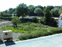 29.05 16:10 Di: Blick auf die alte Pferde-Koppel!