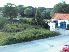 21.09 17:04 Fr: Auf der Koppel hat sich uerlich nicht so viel getan!