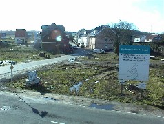 31.01 13:36 Do: Viel zu warm fr Januar ist das Wetter!