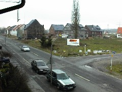 07.02 11:24 Do: Der groe Baum steht schon viel lnger als alle Huser hier!