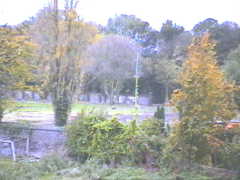 25.10 17:00 Mi: Seit gestern ist das Gestrpp auf der koppel weg!