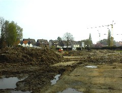 01.05 Di - Diese drei Bilder sind von der Koppel aus fotografiert!