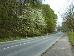 01.05 Di - Die Schlostrae weiter oben mit Blick Richtung Neubaugebiet!