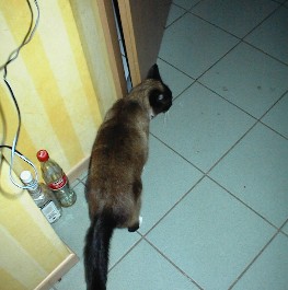 10.03 19:39 .....und hier die andere!