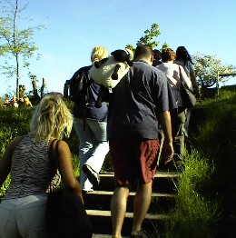 12.05 Wer is denn nur der Tiger hier vorn?